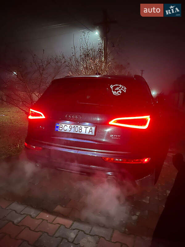 Внедорожник / Кроссовер Audi Q5 2016 в Старом Самборе фото 14 Внедорожник / Кроссовер Audi Q5 2016 в Старом Самборе