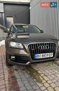 Audi Q5 2013