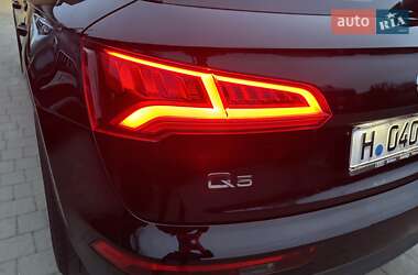 Внедорожник / Кроссовер Audi Q5 2019 в Житомире