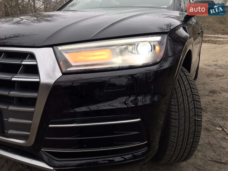 Внедорожник / Кроссовер Audi Q5 2019 в Киеве