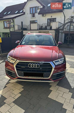 Внедорожник / Кроссовер Audi Q5 2017 в 