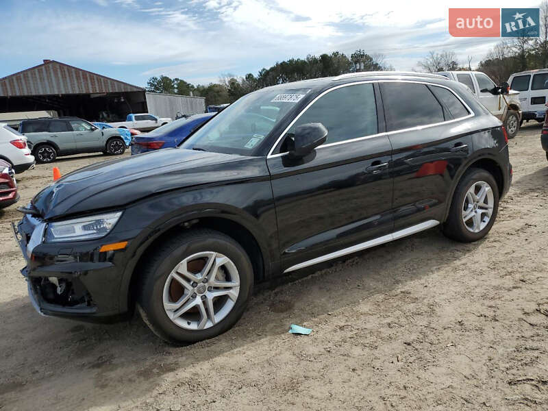 Внедорожник / Кроссовер Audi Q5 2019 в 