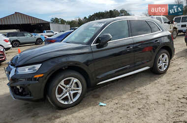 Внедорожник / Кроссовер Audi Q5 2019 в 