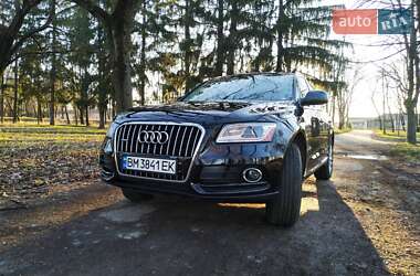 Audi Q5 2013