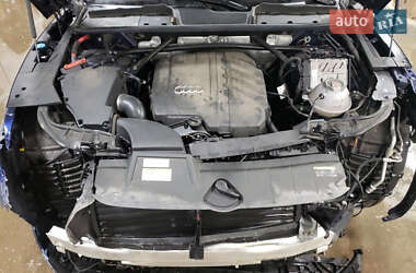 Внедорожник / Кроссовер Audi Q5 2022 в 