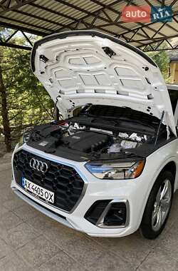 Внедорожник / Кроссовер Audi Q5 2023 в 