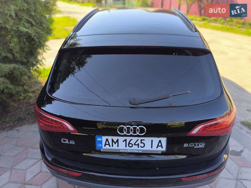 Внедорожник / Кроссовер Audi Q5 2009 в Бердичеве