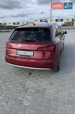 Внедорожник / Кроссовер Audi Q5 2019 в 