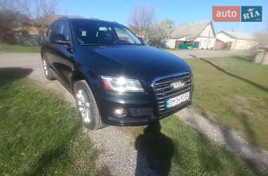 Audi Q5 2013 Audi Q5 2013