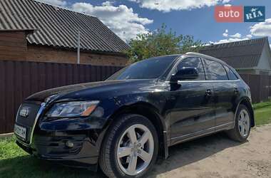 Audi Q5 2011 Audi Q5 2011