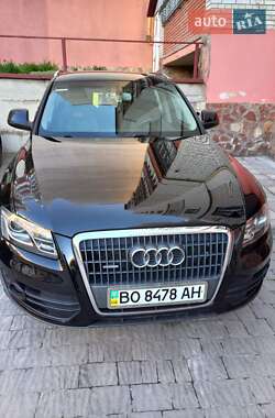 Внедорожник / Кроссовер Audi Q5 2010 в 