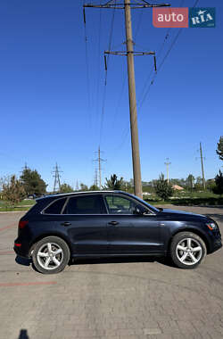 Внедорожник / Кроссовер Audi Q5 2017 в 