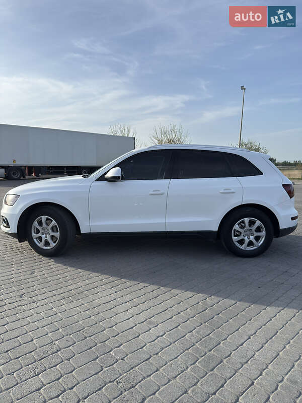 Внедорожник / Кроссовер Audi Q5 2013 в Радивилове