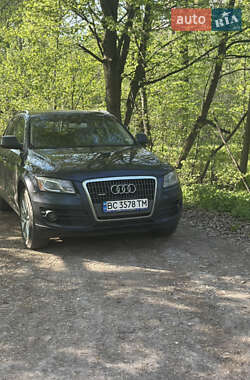Audi Q5 2010