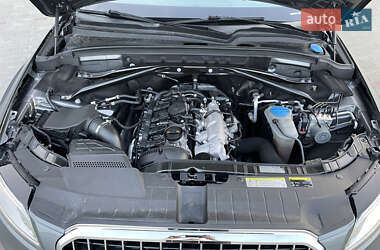 Внедорожник / Кроссовер Audi Q5 2013 в 