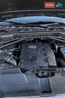 Позашляховик / Кросовер Audi Q5 2017 в 