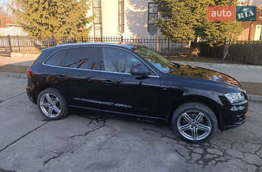 Audi Q5 2010 Audi Q5 2010