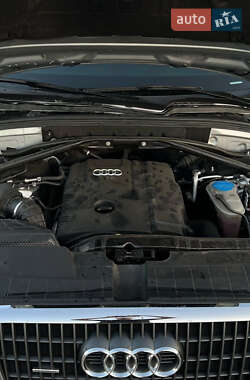 Внедорожник / Кроссовер Audi Q5 2011 в 