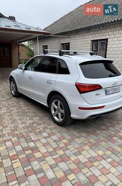 Внедорожник / Кроссовер Audi Q5 2017 в 