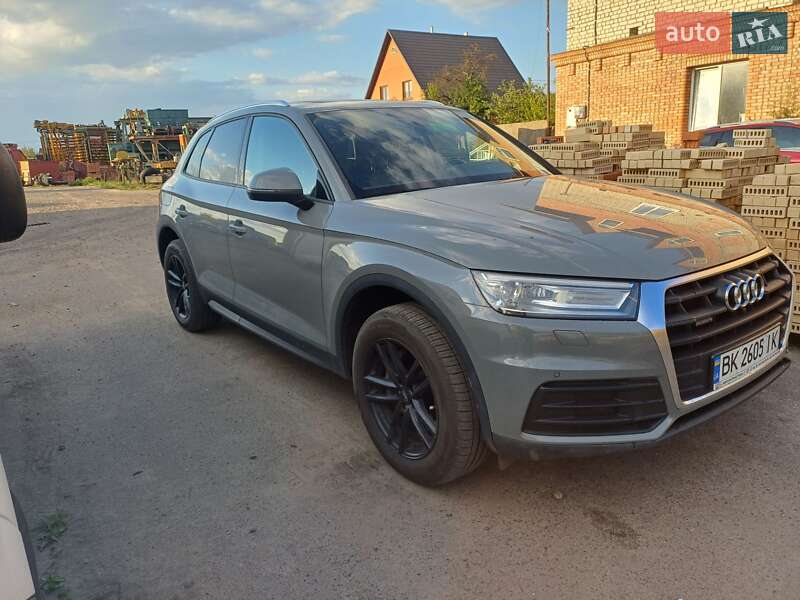 Внедорожник / Кроссовер Audi Q5 2019 в Сарнах