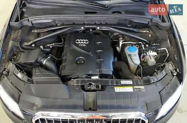 Позашляховик / Кросовер Audi Q5 2016 в 