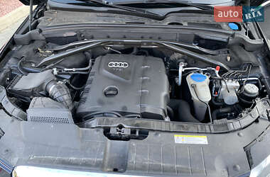 Внедорожник / Кроссовер Audi Q5 2010 в 