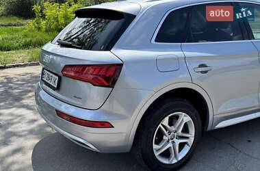 Внедорожник / Кроссовер Audi Q5 2019 в 