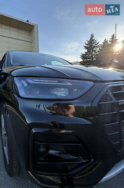 Внедорожник / Кроссовер Audi Q5 2023 в 