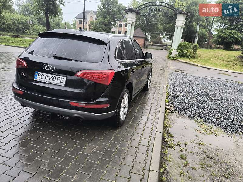 Внедорожник / Кроссовер Audi Q5 2010 в Трускавце фото 5 Внедорожник / Кроссовер Audi Q5 2010 в Трускавце