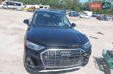 Внедорожник / Кроссовер Audi Q5 2023 в 