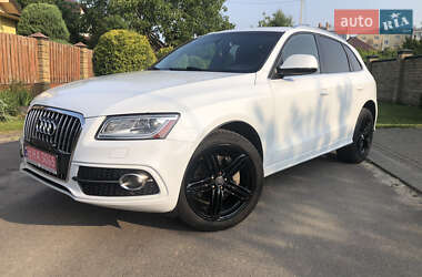 Позашляховик / Кросовер Audi Q5 2013 в Луцьку