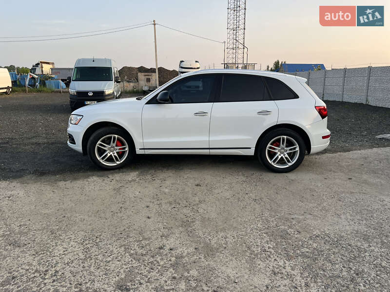 Внедорожник / Кроссовер Audi Q5 2017 в Луцке