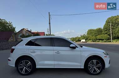Внедорожник / Кроссовер Audi Q5 2019 в 