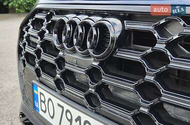 Внедорожник / Кроссовер Audi Q5 2023 в 
