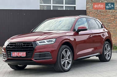Внедорожник / Кроссовер Audi Q5 2019 в 