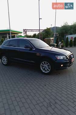 Audi Q5 2011 Audi Q5 2011
