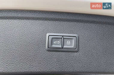 Внедорожник / Кроссовер Audi Q5 2019 в 