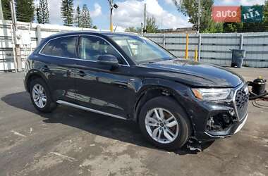 Внедорожник / Кроссовер Audi Q5 2024 в 