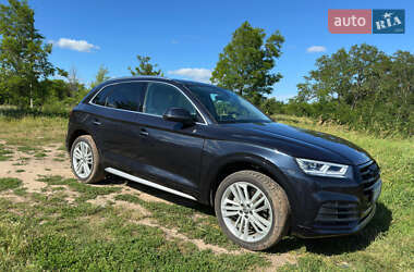 Внедорожник / Кроссовер Audi Q5 2021 в 