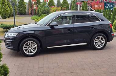 Внедорожник / Кроссовер Audi Q5 2019 в 