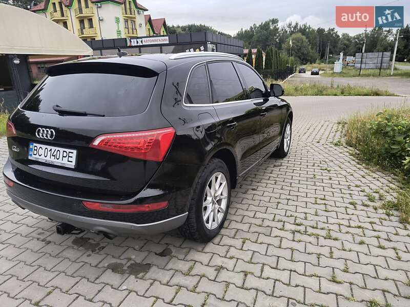 Внедорожник / Кроссовер Audi Q5 2010 в Трускавце фото 13 Внедорожник / Кроссовер Audi Q5 2010 в Трускавце