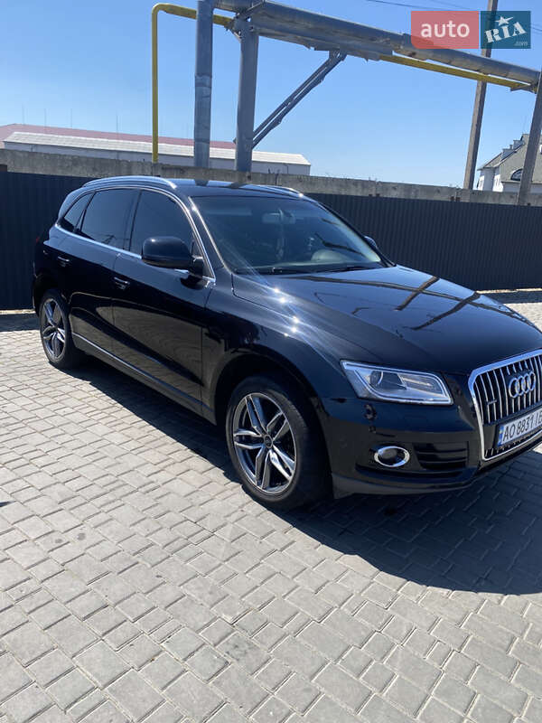 Audi Q5 2013