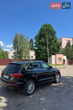 Внедорожник / Кроссовер Audi Q5 2010 в 