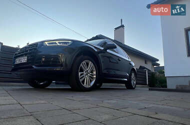 Внедорожник / Кроссовер Audi Q5 2019 в 
