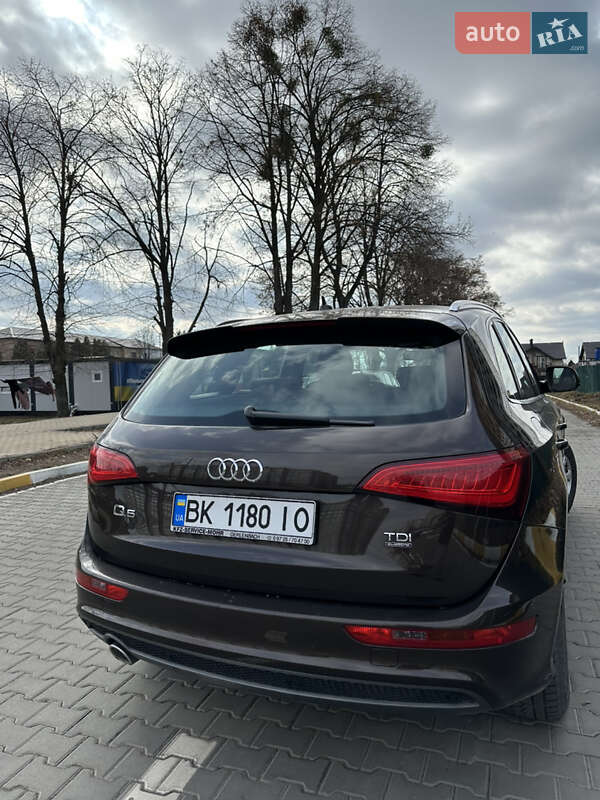 Внедорожник / Кроссовер Audi Q5 2013 в Луцке фото 6 Внедорожник / Кроссовер Audi Q5 2013 в Луцке