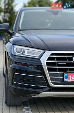 Внедорожник / Кроссовер Audi Q5 2019 в 