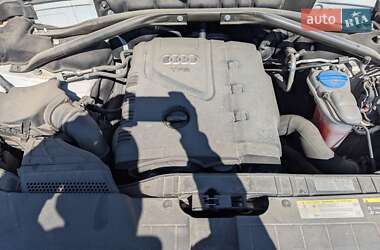 Позашляховик / Кросовер Audi Q5 2013 в 