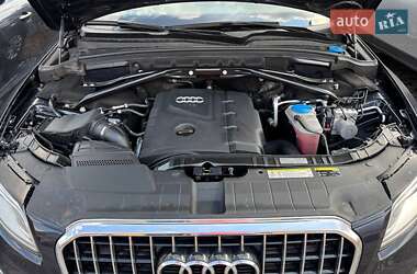 Внедорожник / Кроссовер Audi Q5 2013 в 
