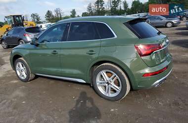 Внедорожник / Кроссовер Audi Q5 2021 в 