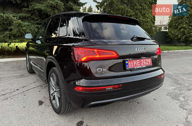 Внедорожник / Кроссовер Audi Q5 2019 в 
